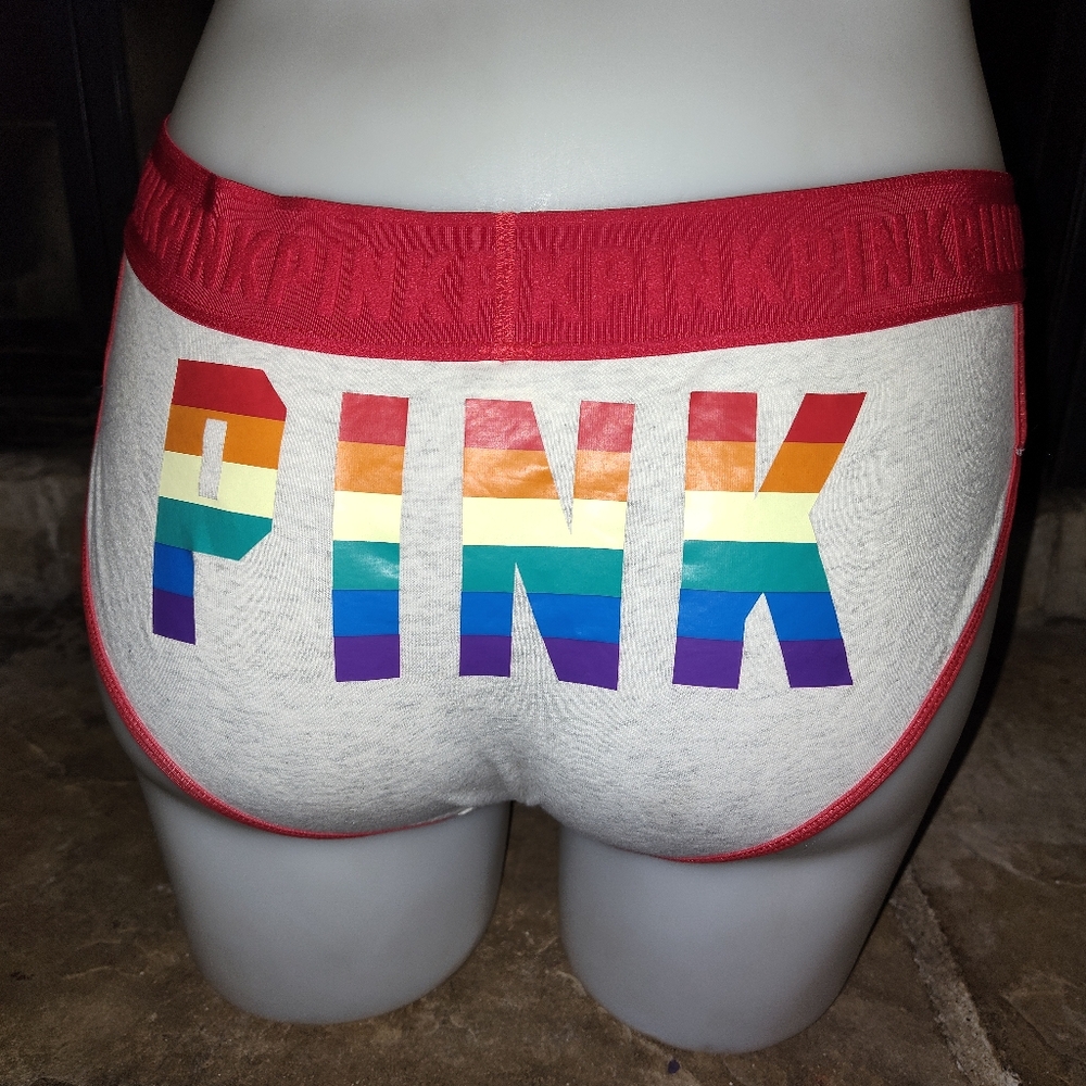 Victoria's secret PINK hipster panties LARGE